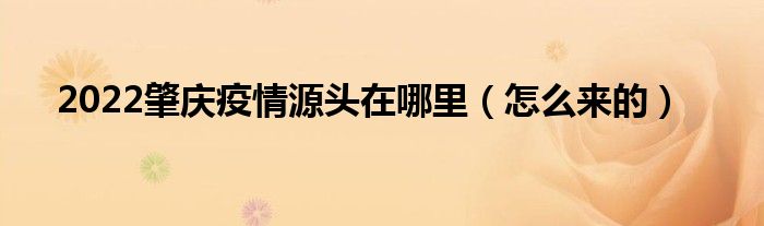 2022肇庆疫情源头在哪里(怎么来的)