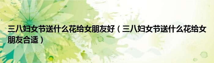 三八妇女节送什么花给女朋友好(三八妇女节送什么花给女朋友合适)