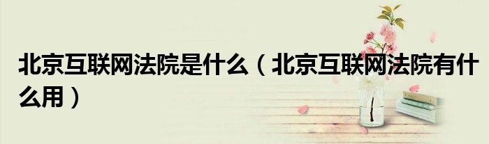 北京互联网法院是什么(北京互联网法院有什么用)