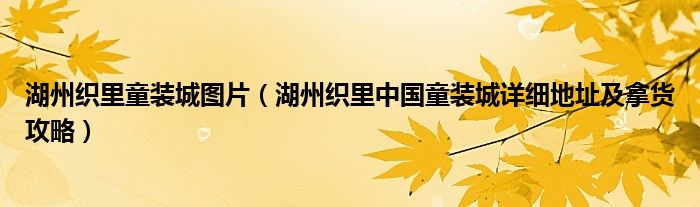 湖州织里童装城图片(湖州织里中国童装城详细地址及拿货攻略)