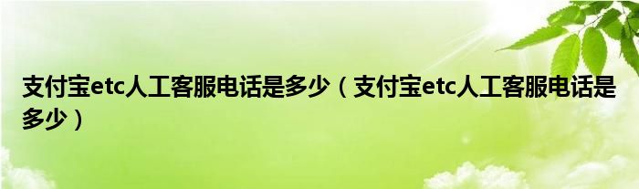 支付宝etc人工客服电话是多少(支付宝etc人工客服电话是多少)