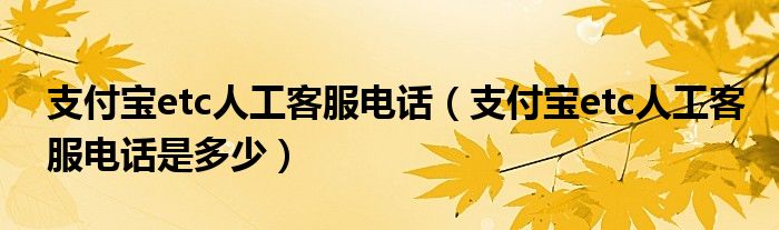 支付宝etc人工客服电话(支付宝etc人工客服电话是多少)