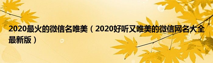 2020最火的微信名唯美(2020好听又唯美的微信网名大全最新版)