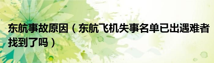 东航事故原因(东航飞机失事名单已出遇难者找到了吗)