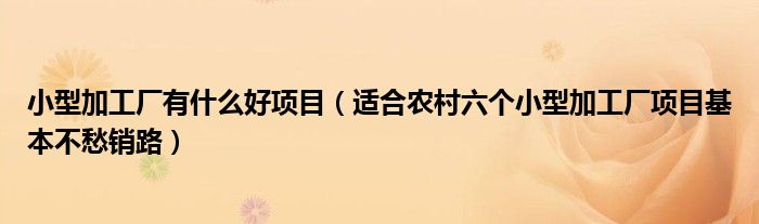 小型加工厂有什么好项目(适合农村六个小型加工厂项目基本不愁销路)