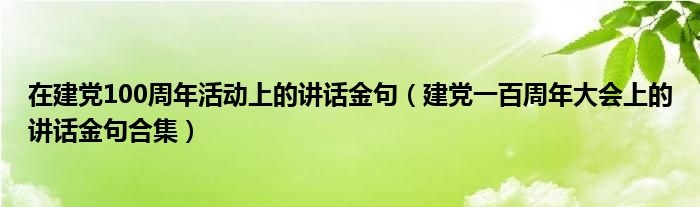 在建党100周年活动上的讲话金句(建党一百周年大会上的讲话金句合集)