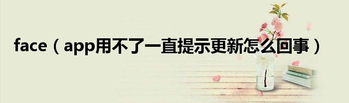 face(app用不了一直提示更新怎么回事)