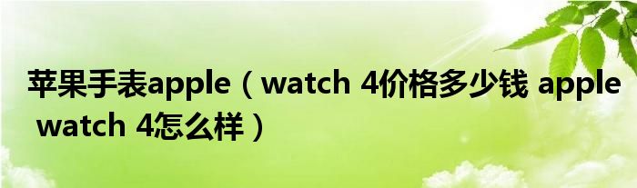 苹果手表apple(watch 4价格多少钱 apple watch 4怎么样)