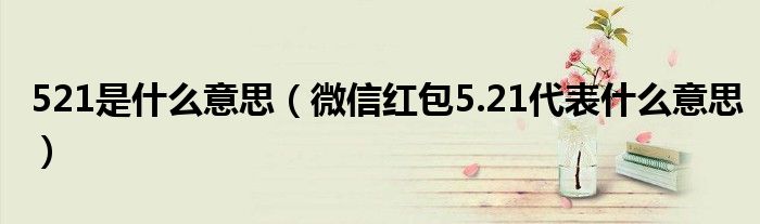 521是什么意思(微信红包5.21代表什么意思)
