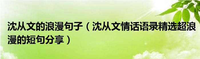 沈从文的浪漫句子(沈从文情话语录精选超浪漫的短句分享)
