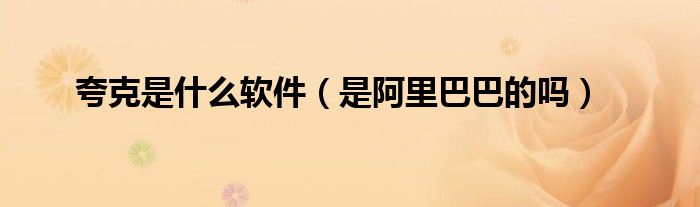 夸克是什么软件(是阿里巴巴的吗)