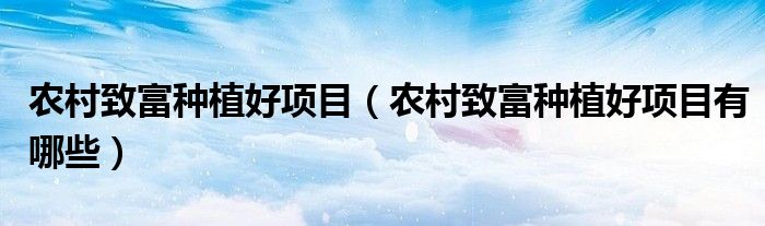 农村致富种植好项目(农村致富种植好项目有哪些)