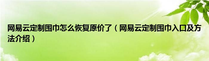 网易云定制围巾怎么恢复原价了(网易云定制围巾入口及方法介绍)