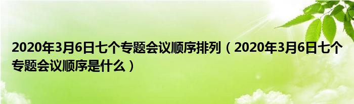 2020年3月6日七个专题会议顺序排列(2020年3月6日七个专题会议顺序是什么)