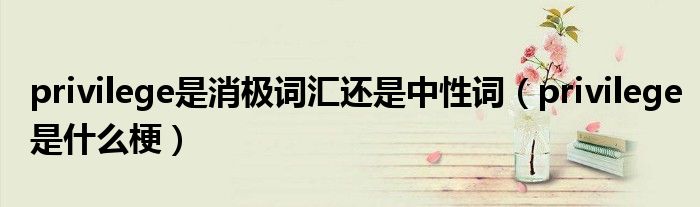 privilege是消极词汇还是中性词(privilege是什么梗)