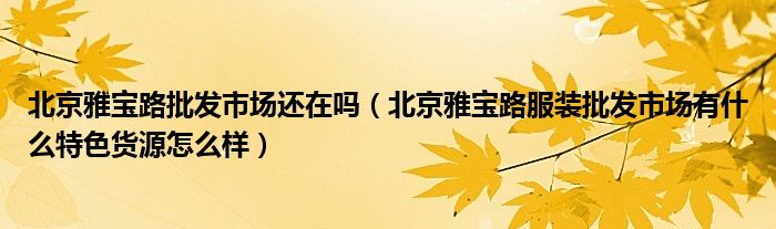 北京雅宝路批发市场还在吗(北京雅宝路服装批发市场有什么特色货源怎么样)