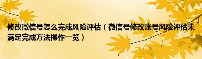 修改微信号怎么完成风险评估(微信号修改账号风险评估未满足完成方法操作一览)