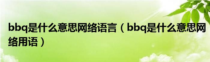 bbq是什么意思网络语言(bbq是什么意思网络用语)