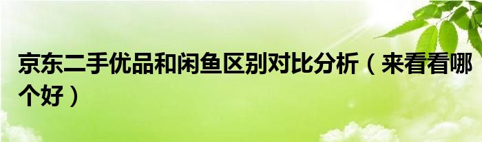 京东二手优品和闲鱼区别对比分析(来看看哪个好)