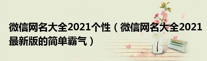 微信网名大全2021个性(微信网名大全2021最新版的简单霸气)