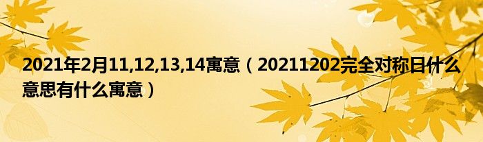 2021年2月11,12,13,14寓意(20211202完全对称日什么意思有什么寓意)