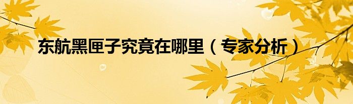 东航黑匣子究竟在哪里(专家分析)