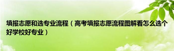 填报志愿和选专业流程(高考填报志愿流程图解看怎么选个好学校好专业)