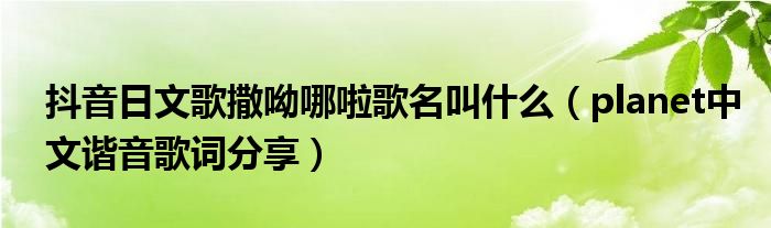 抖音日文歌撒呦哪啦歌名叫什么(planet中文谐音歌词分享)