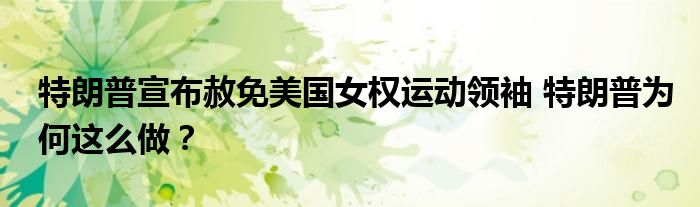 特朗普宣布赦免美国女权运动领袖 特朗普为何这么做?