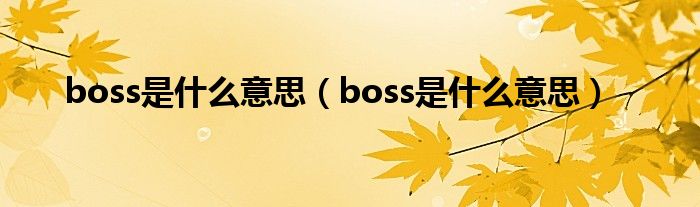 boss是什么意思（boss是什么意思）