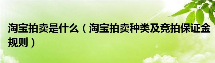 淘宝拍卖是什么(淘宝拍卖种类及竞拍保证金规则)