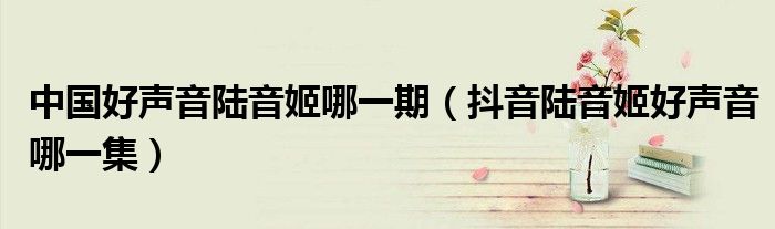 中国好声音陆音姬哪一期（抖音陆音姬好声音哪一集）
