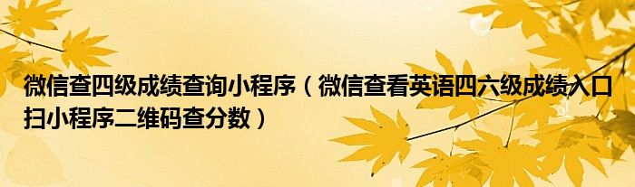 微信查四级成绩查询小程序(微信查看英语四六级成绩入口扫小程序二维码查分数)