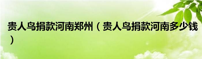 贵人鸟捐款河南郑州(贵人鸟捐款河南多少钱)