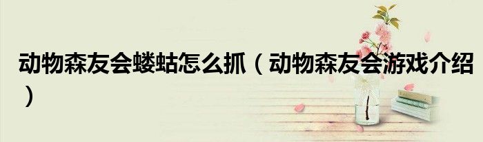 动物森友会蝼蛄怎么抓(动物森友会游戏介绍)