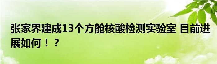 张家界建成13个方舱核酸检测实验室 目前进展如何!?
