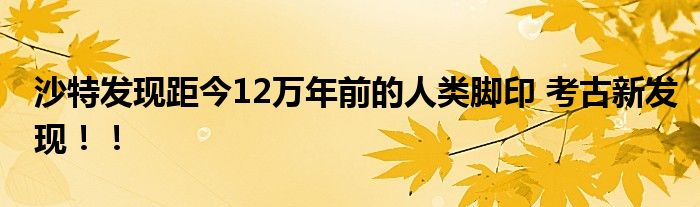 沙特发现距今12万年前的人类脚印 考古新发现!!