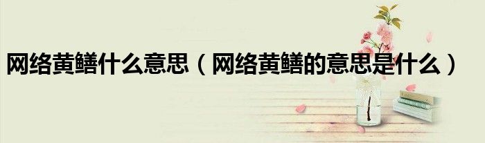 网络黄鳝什么意思(网络黄鳝的意思是什么)