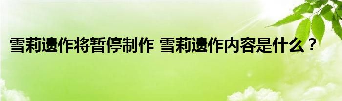 雪莉遗作将暂停制作 雪莉遗作内容是什么？