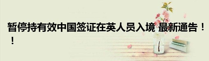 暂停持有效中国签证在英人员入境 最新通告!!