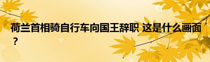 荷兰首相骑自行车向国王辞职 这是什么画面？