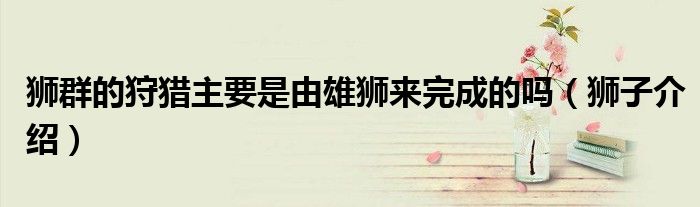 狮群的狩猎主要是由雄狮来完成的吗(狮子介绍)