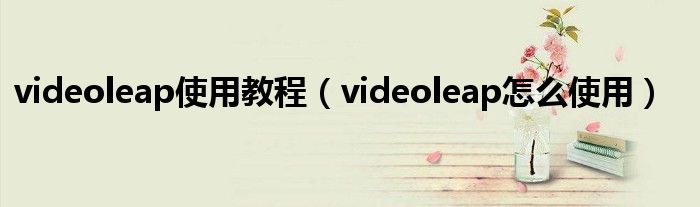 videoleap使用教程(videoleap怎么使用)