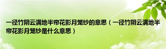 一径竹阴云满地半帘花影月笼纱的意思(一径竹阴云满地半帘花影月笼纱是什么意思)