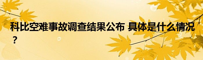 科比空难事故调查结果公布 具体是什么情况？