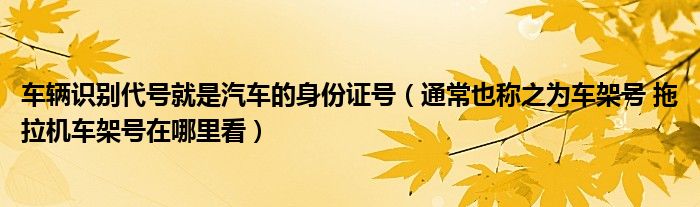 车辆识别代号就是汽车的身份证号(通常也称之为车架号 拖拉机车架号在哪里看)