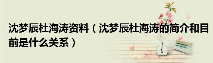 沈梦辰杜海涛资料(沈梦辰杜海涛的简介和目前是什么关系)