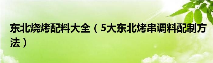 东北烧烤配料大全(5大东北烤串调料配制方法)