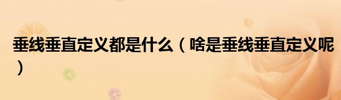 垂线垂直定义都是什么(啥是垂线垂直定义呢)