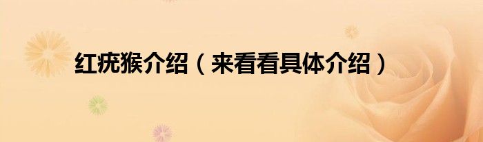 红疣猴介绍(来看看具体介绍)